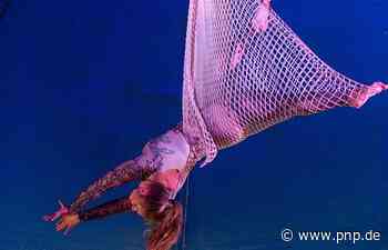 Der Circus ist in der Stadt - Plattling; Circus Boldini - Passauer Neue Presse