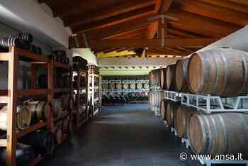 Expo Dubai: Aceto Balsamico Modena Dop 'firmato' Salvatores - Emilia-Romagna - Agenzia ANSA