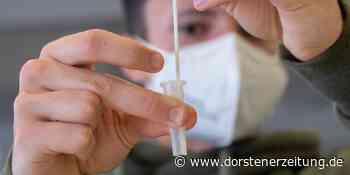 DZ+ Corona: „60 Prozent der Betroffenen kommen aus anderem Kulturkreis“ - Dorstener Zeitung