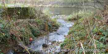 Lohmar: Rückhaltebecken am Auelsbach wird viel größer - Kölnische Rundschau