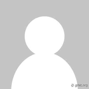 Can we move our forests in time to save them? - Grist