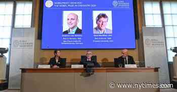 Nobel Prize in Chemistry Awarded for Tool to Build Molecules