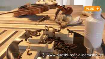 Insekten, Algen, Soja – das Museum Brot und Kunst fragt: Was essen wir 2050? - Augsburger Allgemeine