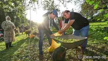 Interkultureller Garten Ulm: Menschen aus 16 Nationen arbeiten Hand in Hand - SWP