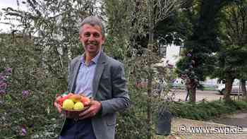 Streuobstbörse im Landkreis Neu-Ulm: Wo man kostenlos Obst ernten darf - SWP