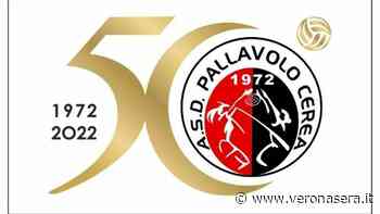 La Pallavolo Cerea presenta il logo ufficiale per celebrare i 50 anni di attività - VeronaSera