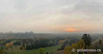 Wildfire smoke prompts special air quality statement for Edmonton