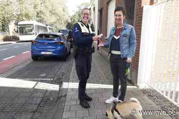 Politie controleert extra op hondenpoep in Essense straten - Gazet van Antwerpen