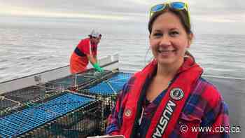 In wake of opposition to Mi'kmaw fishery, Sipekne'katik First Nation is studying impact of its lobster season