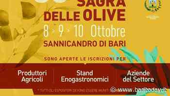 35ª edizione della Sagra delle Olive di Sannicandro di Bari - BariToday