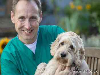 Preston dog Jasper honoured for supporting patients and hospital staff - Lancashire Post