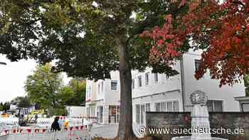 Bauarbeiten - Wurzeln durchtrennt - Starnberg - SZ.de - Süddeutsche Zeitung