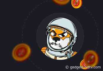 Shiba Inu Value Jumps By 49 Percent To See SHIB Break Into Top 20 Crypto Coins List