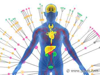 Neural network approach to diabetes treatment nets $140 million Series C for startup Twin Health
