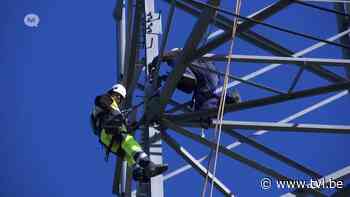 Speciale krullen zorgen ervoor dat vogels niet meer tegen hoogspanningslijn tussen Kinrooi en Maaseik vliegen - TV Limburg