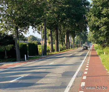 Asfalt Weertersteenweg in Kinrooi wordt vernieuwd - TV Limburg - TV Limburg