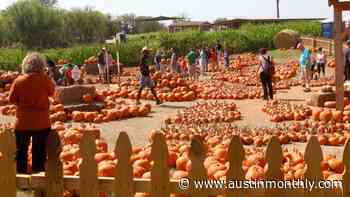 11 Pumpkin Patches in Austin to Visit This Fall - Austin Monthly