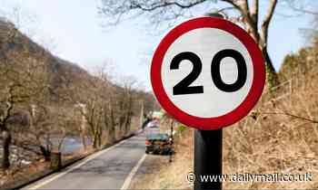 Campaigners call on UK government to slash the speed limit from 30mph to 20mph in towns