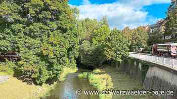 Hochwasserschutz in Ebhausen: Auf der Suche nach Problemlagen