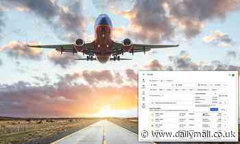 Google update shows carbon dioxide emissions for flights and which dishwashers are energy efficient 