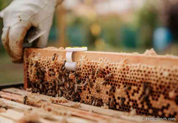 BeeHero’s precision pollination platform wings its way to $19M in new funding