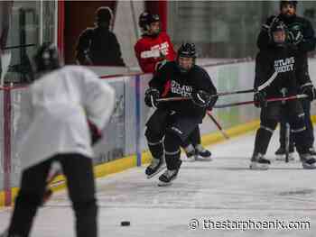 Hockey Sask. survey focuses on equality, diversity 'to improve the state of our game'