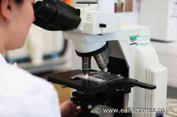 Massage may make muscles heal faster and stronger, study suggests - Ealing Times