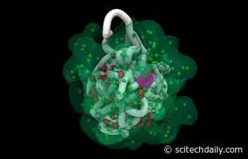 Supercomputers Reveal the Secrets of How X Chromosomes Fold and Deactivate