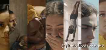 Nueva edición del FICM retomará algunas funciones presenciales - plumas libres