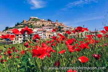 Estos son los 109 pueblos libres de coronavirus en Castellón. Descubre si el tuyo está entre ellos - Castellón Información