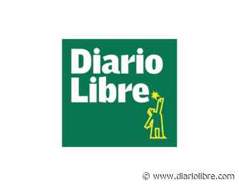 Los agentes libres dominicanos - Diario Libre