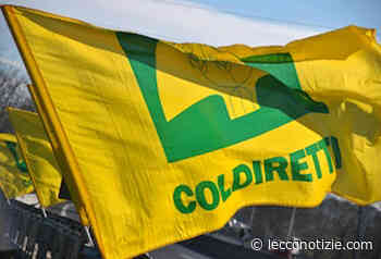 Coldiretti: "Si apre il bando Ismea Investe, dedicato all'agroalimentare" - Lecco Notizie - Lecco Notizie