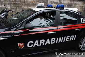 ORBASSANO - Coltiva marijuana nel giardino vicino all'azienda: custode arrestato dai carabinieri - TorinoSud