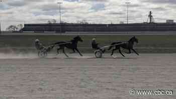 Racing community rallies in support of horseman Marc Fillion, who was badly injured in Saskatoon