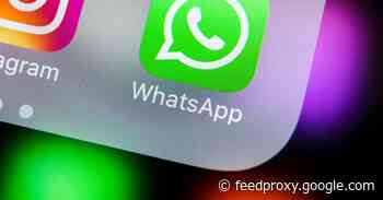 WhatsApp has been down for hours; here are the best alternatives for iOS