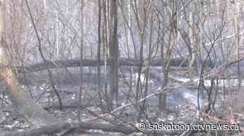 'Our ancestral lands are at stake': Wildfires burning close to Sask. First Nations