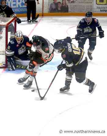 Hearst doubles Gold Miners - Northern Daily News