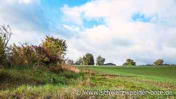 Starkregen in Neuweiler: Über Dämme zu Gräben und Verdolungen
