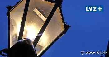 „Licht aus“ für den Insektenschutz – Oschatz Earth Nigth dabei - Leipziger Volkszeitung