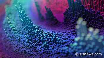 How Retailers Can Capitalize on Data Disruption