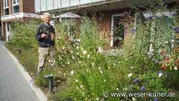 Hilke Theessen ist nun Vorsitzende - WESER-KURIER