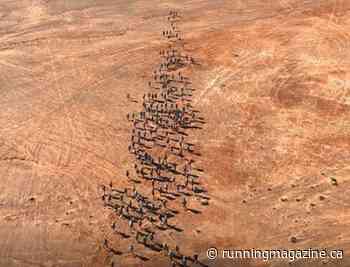 French ultrarunner suffers cardiac arrest at the Marathon des Sables - Canadian Running Magazine