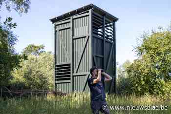 Ook Wase bossen nodigen bezoekers uit voor de week van het bos