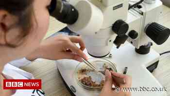 Climate change: Voices from global south muted by climate science