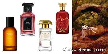 Forest Bathing Fragrances to Bring the Outdoors In - Elle Canada