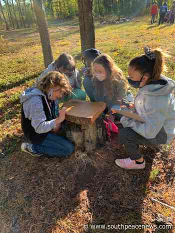 HPE students learning all about the forest - - South Peace News