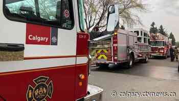 Man suffers serious burns, cat and 10 snakes rescued, as fire breaks out in Forest Lawn - CTV Toronto