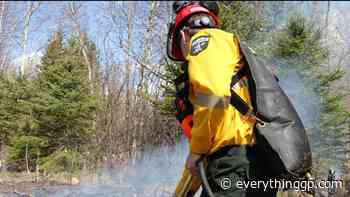 Wildfire danger low in Grande Prairie Forest Area - EverythingGP