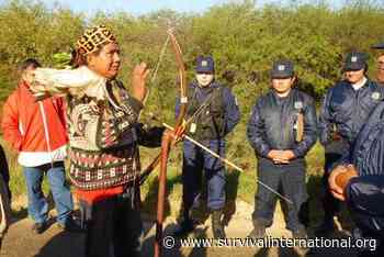 Ayoreo appeal to Inter-American Commission to save their forest from destruction - Survival International