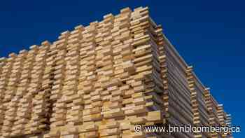 Austria Leads Timber Industry Rejection of EU Forest Strategy - BNN